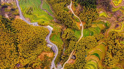 灵山景区梯田第 1 张图片