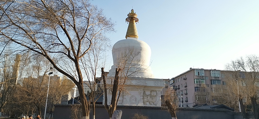 西塔第 5 张图片