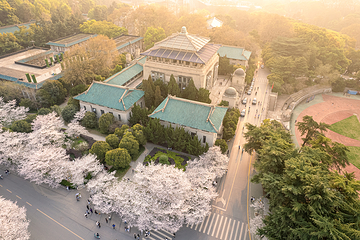 武汉大学第 36 张图片