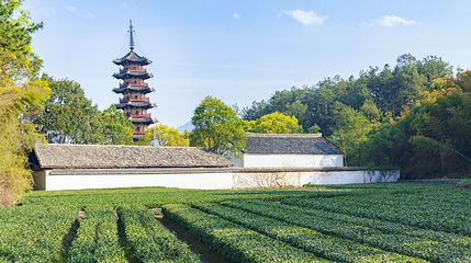 延庆寺塔第 1 张图片