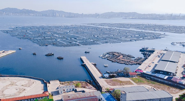 烟台清泉海洋(牧场)公园