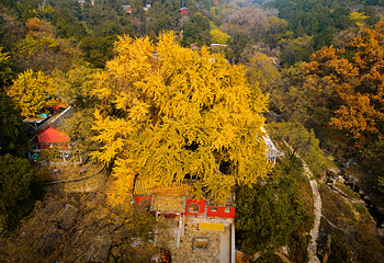 泰山风景区第 35 张图片