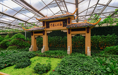 寿光蔬菜高科技示范园第 9 张图片