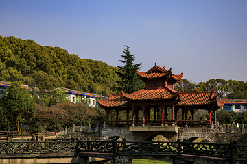 平坝农场第 3 张图片
