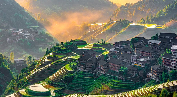 龙脊梯田金坑大寨