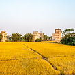 开平碉楼文化旅游区