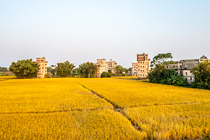 开平碉楼文化旅游区