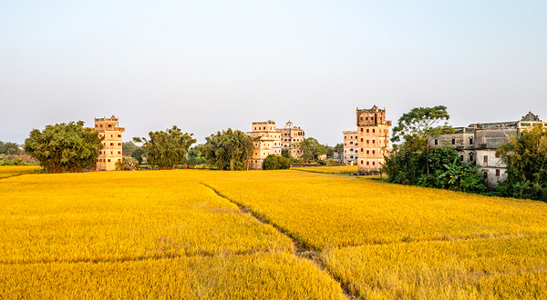 开平碉楼文化旅游区