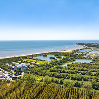 日照海滨国家森林公园