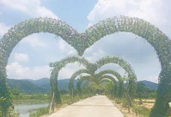 西和莲花餐厅第 11 张图片