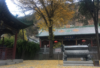玄中寺第 9 张图片