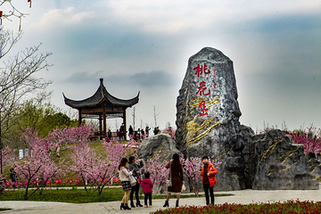 墨潭桃花岛第 21 张图片