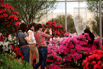 花舞人间第 33 张图片