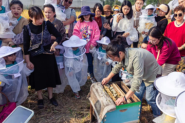 莫干山陌野农场第 14 张图片