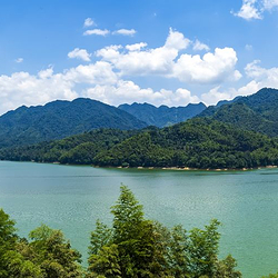 桃花江国家森林公园