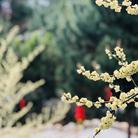 福安兰谷温泉度假村