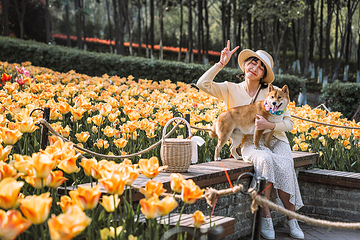 花谷奇缘第 31 张图片