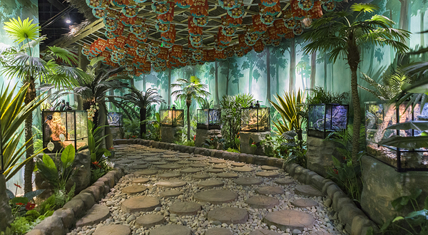 西游王国•西游萌宠空间