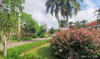 茂名市珍稀植物园