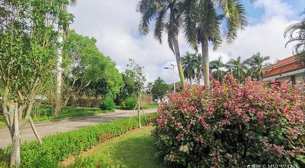 茂名市珍稀植物园