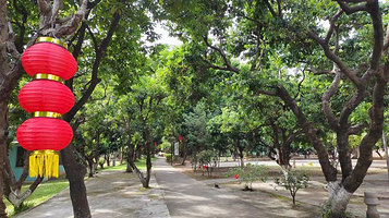 大王洲生态乐园民宿