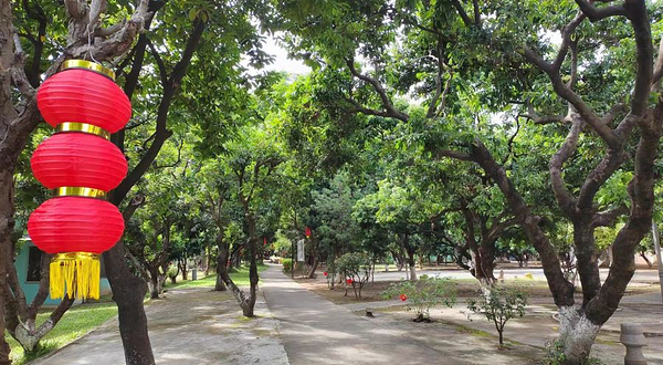 大王洲生态乐园民宿