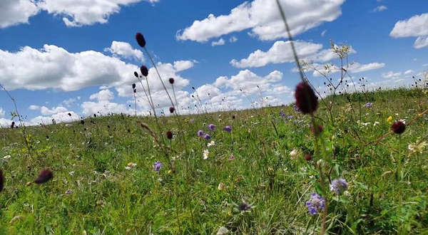 Hooah Farm呼哈农场