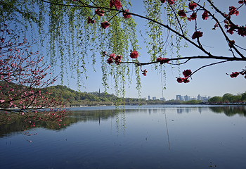 西湖风景名胜区第 465 张图片
