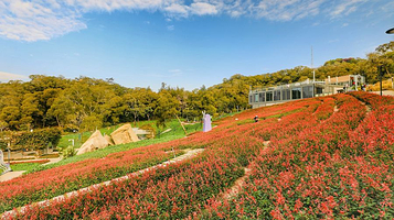 健康步道林海线梅海花台