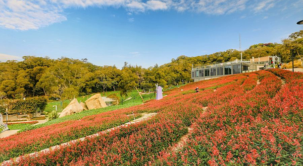 健康步道林海线梅海花台