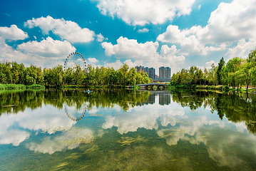 洋湖湿地公园第 10 张图片