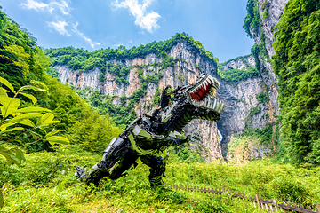 武隆天生三桥第 20 张图片