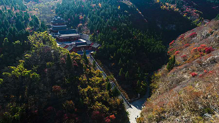 泰和山风景区第 20 张图片