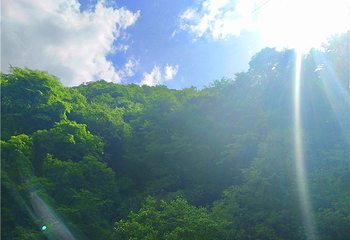 六盘山国家森林公园第 39 张图片