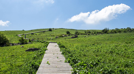 历山舜王坪景区第 1 张图片