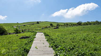 历山舜王坪景区第 3 张图片