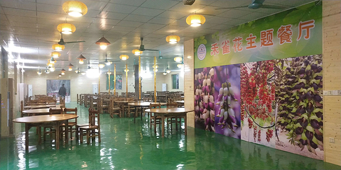 石壁湖禾雀花王国第 3 张图片