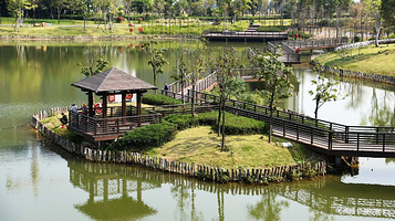 王借岗森林公园