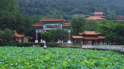 南国桃园第 10 张图片