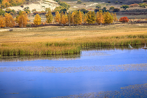 御道口草原森林风景区
