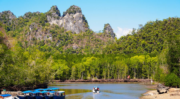 红树林生态保护区