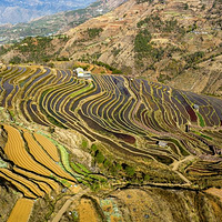 米易傈僳梯田景区