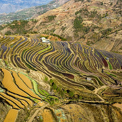 米易傈僳梯田景区