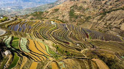 米易傈僳梯田景区第 1 张图片