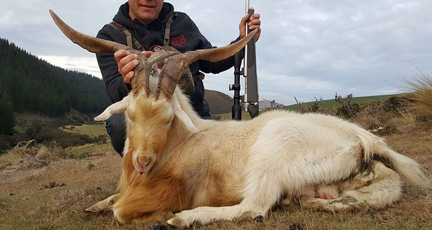 南部狩猎打靶场