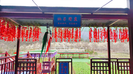 杨家寨第 24 张图片