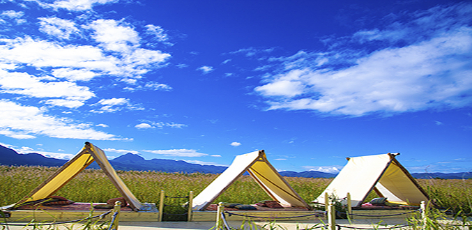 拉市海湿地.候鸟湾