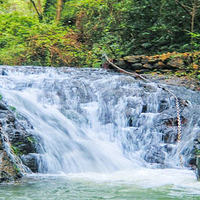 逍遥湖景区