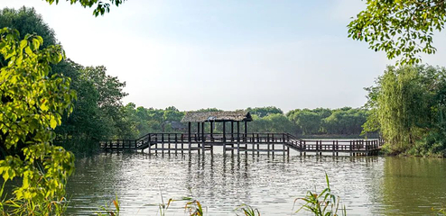 苏州太湖国家湿地公园第 6 张图片