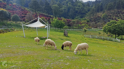 石里红枫乡村旅游度假区第 3 张图片